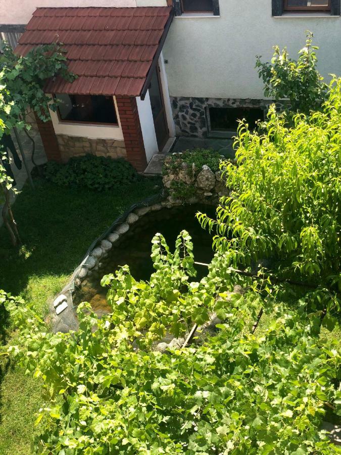 Valevitsata Guesthouse 拉兹洛格 外观 照片